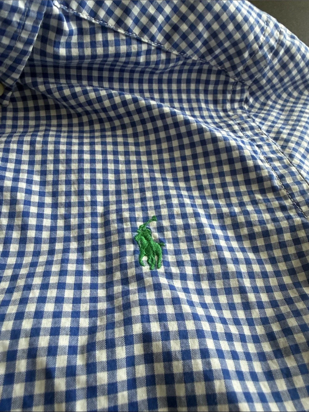 Ralph Lauren Blue & White Gingham Button-Down Shirt - Kids